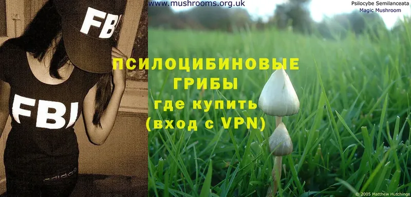 Галлюциногенные грибы MAGIC MUSHROOMS  где можно купить наркотик  Козловка 